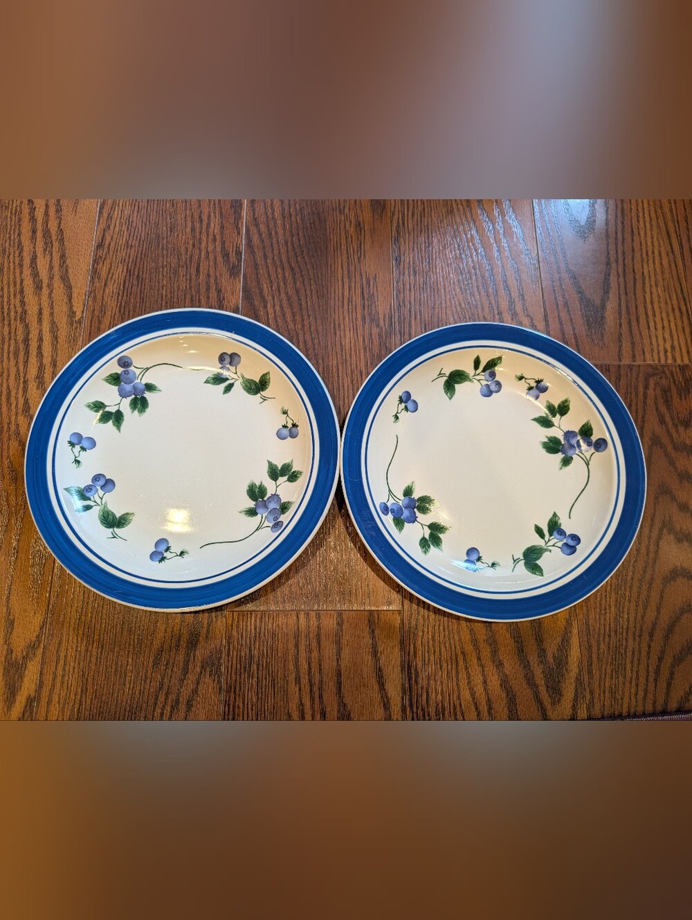 LL Bean Blueberry Cream Ceramic Dinner Plates Cottagecore Dishware Set Of 2